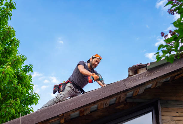 Best Green or Eco-Friendly Roofing Solutions  in Mexico Beach, FL